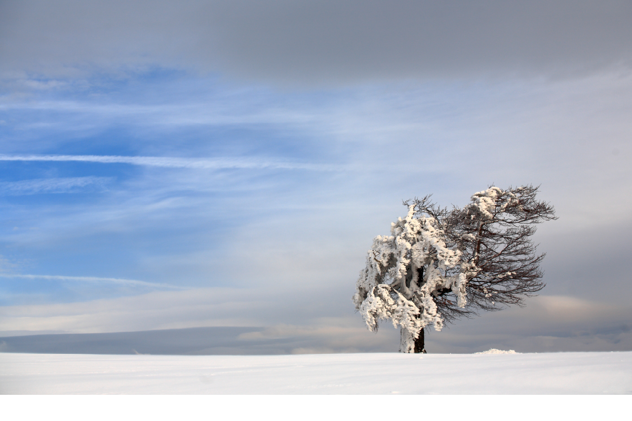 Hero image for Weathering Storms: Building Financial Resilience for Retirement